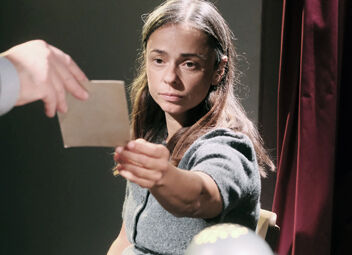 stille hunde Meitner